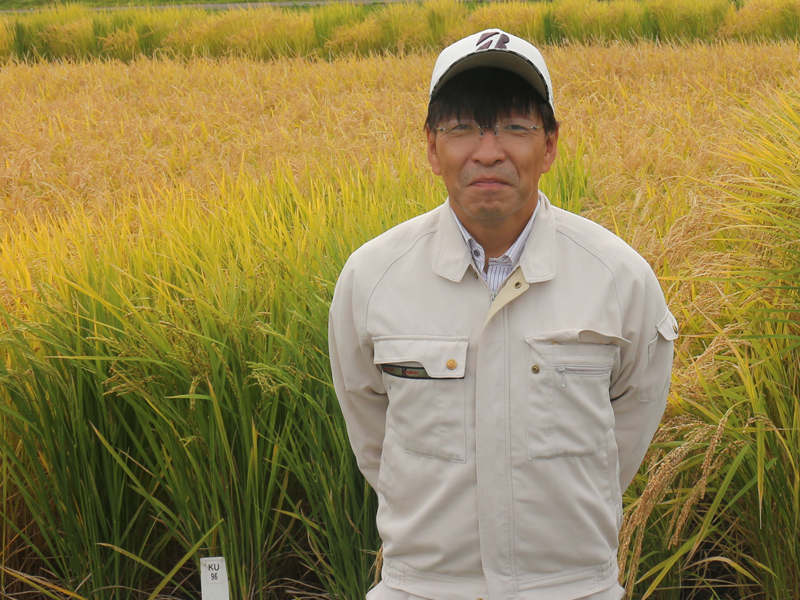 北海道農業研究センター　水稲育種グループ長　松葉　修一