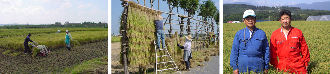 生産生産者