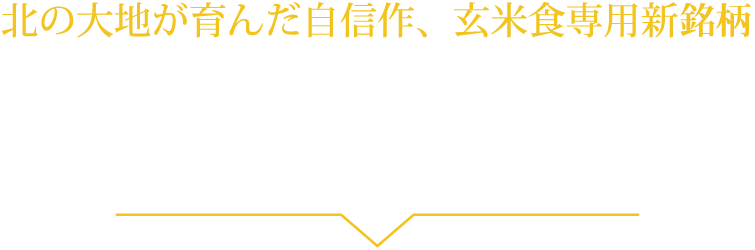 北の大地が育んだ自信作、玄米食専用新銘柄 ゆきむつみ