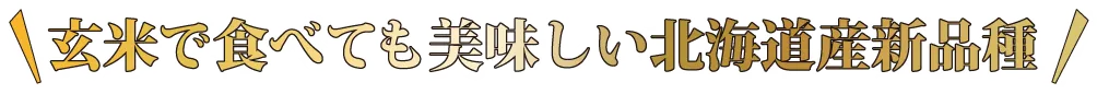 玄米食べても美味しい北海道産新品種