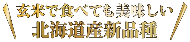 玄米食べても美味しい北海道産新品種