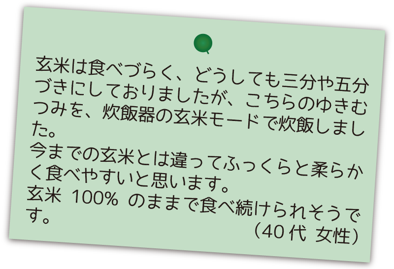 玄米でもうまい 北海道産新銘柄 ゆきむつみ ドリームライス松原米穀