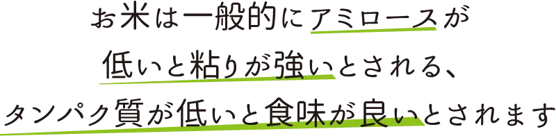 お米は一般的にアミロースが低いと粘りが強いとされる、タンパク質が低いと食味が良いとされます